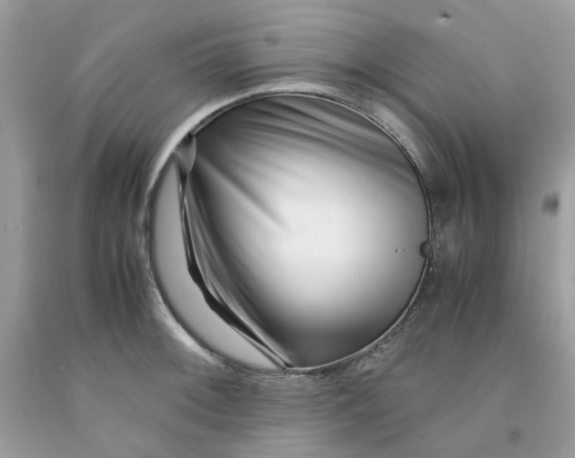 X0000091451092200709061729