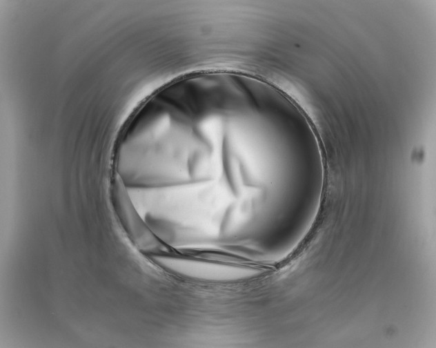 X0000091451093200709061729