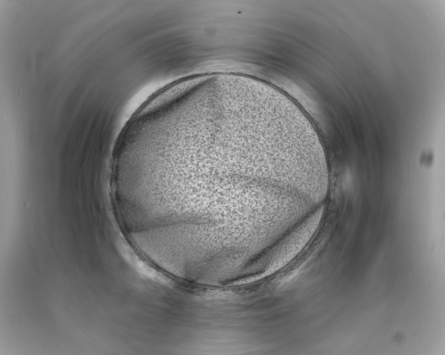 X0000091451094200709061729