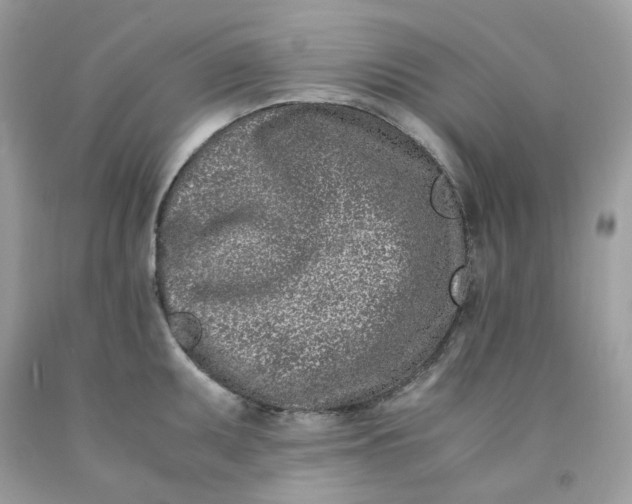 X0000091451095200709061729