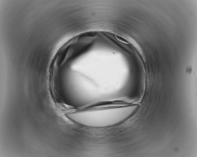 X0000091451096200709061729