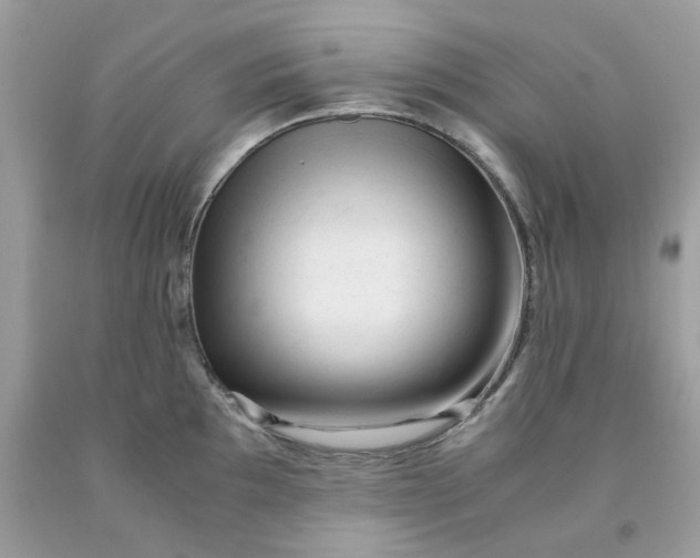 X0000091451097200709061729