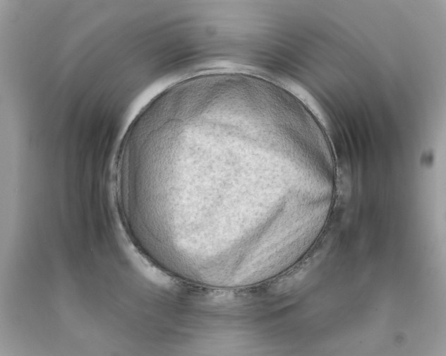 X0000091451098200709061729