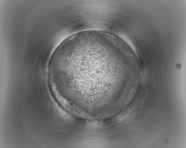 X0000091451099200709061729