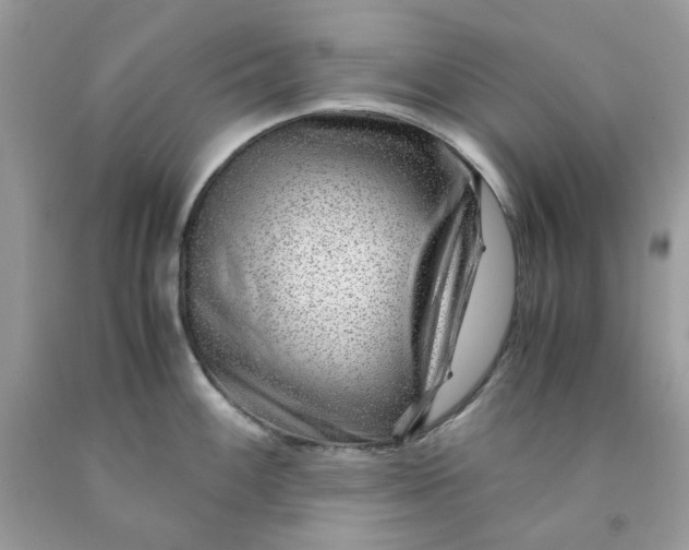 X0000091451100200709061729