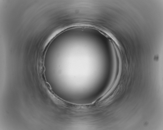 X0000091451101200709061729