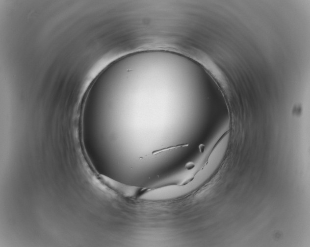 X0000091451102200709061729