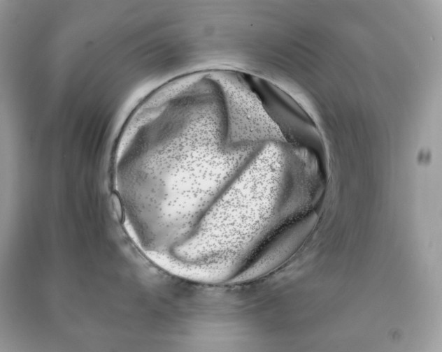 X0000091451104200709061729