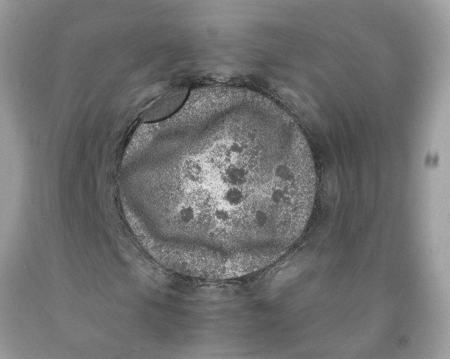 X0000091451105200709061729