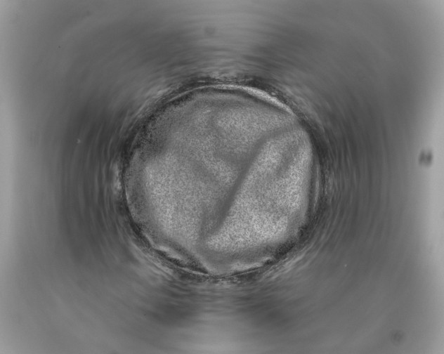 X0000091451106200709061729