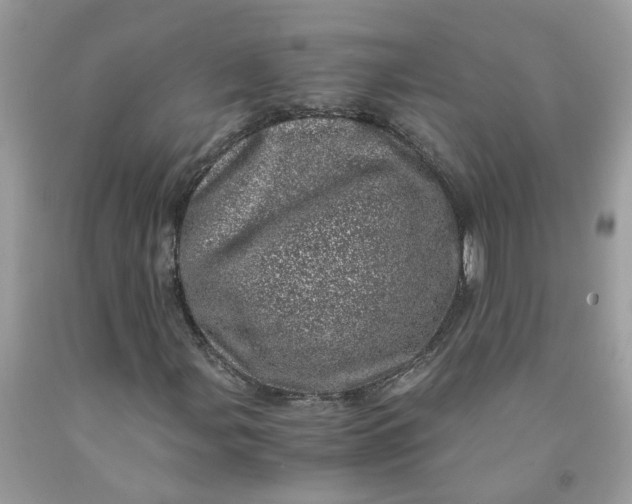 X0000091451107200709061729