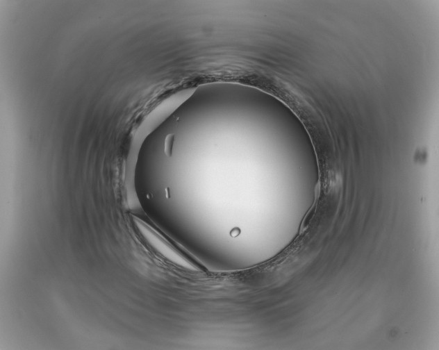 X0000091451108200709061729