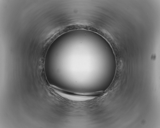 X0000091451110200709061729