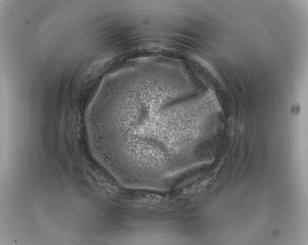 X0000091451111200709061729