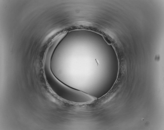 X0000091451112200709061729