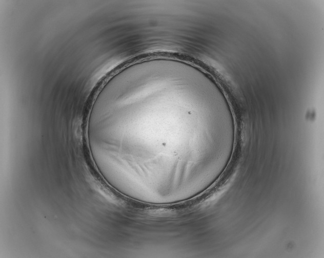 X0000091451113200709061729