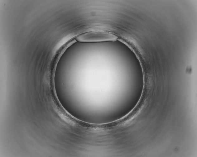 X0000091451114200709061729