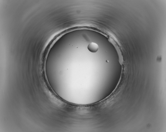 X0000091451116200709061729