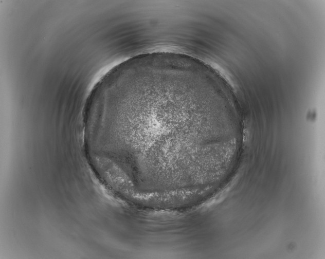 X0000091451117200709061729