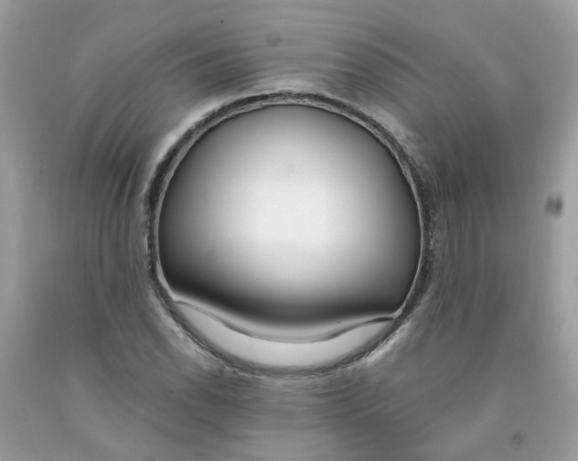 X0000091451118200709061729