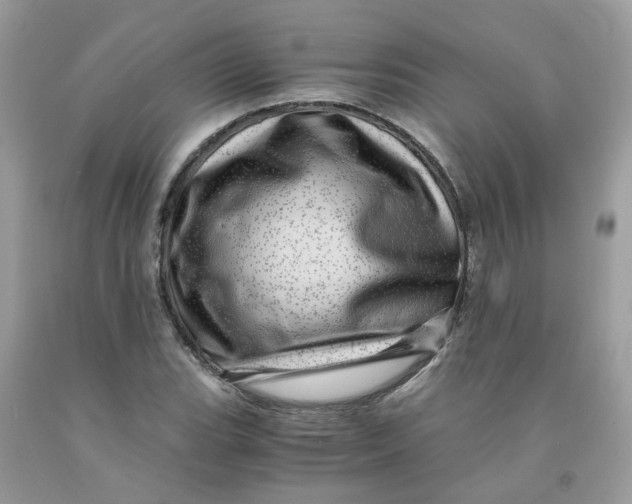 X0000091451119200709061729