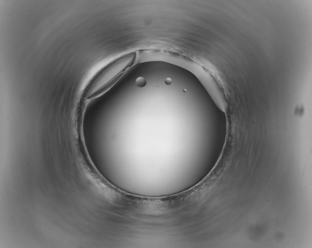 X0000091451120200709061729