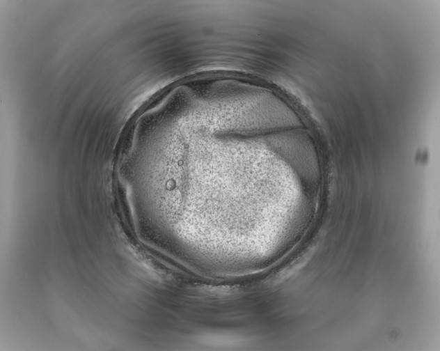 X0000091451121200709061729