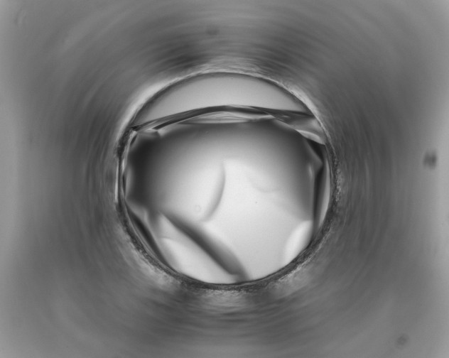 X0000091451123200709061729