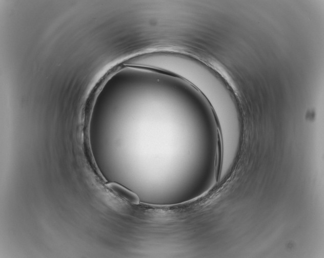 X0000091451124200709061729