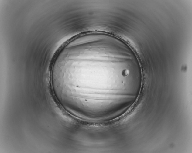 X0000091451125200709061729