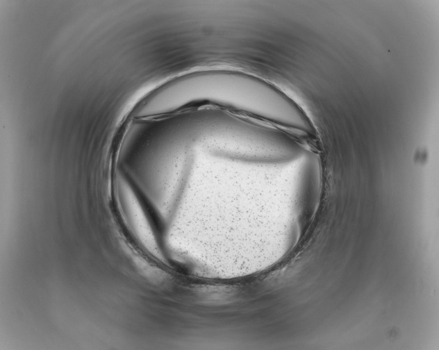 X0000091451127200709061729