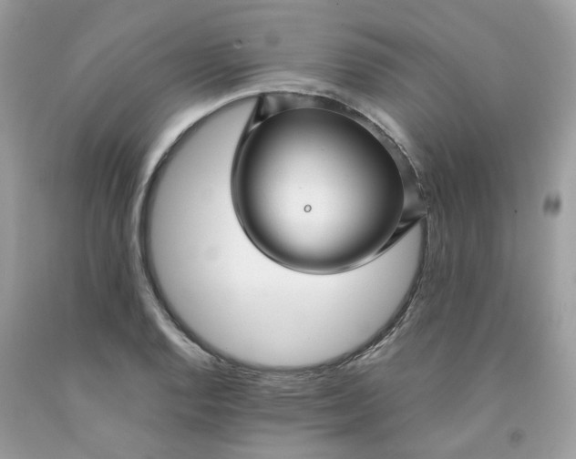 X0000091451128200709061729