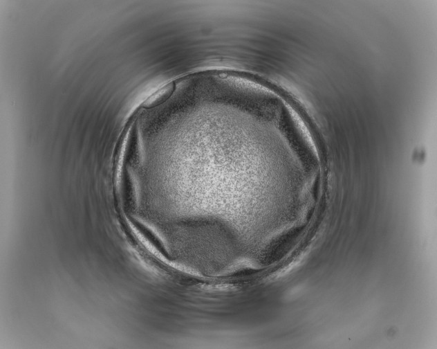 X0000091451129200709061729