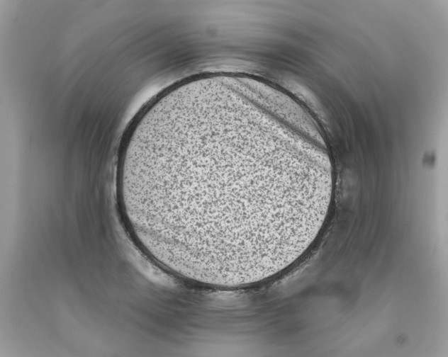 X0000091451130200709061729