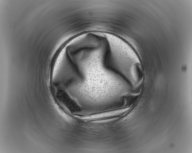 X0000091451131200709061729