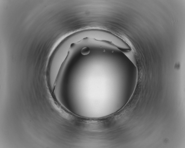 X0000091451132200709061729