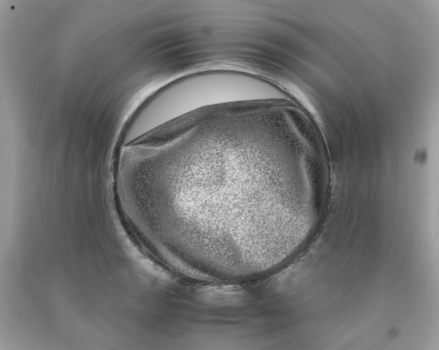 X0000091451133200709061729