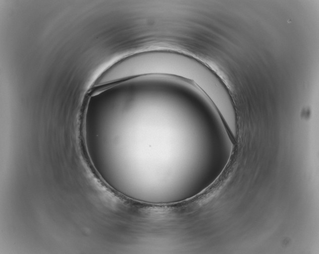 X0000091451134200709061729