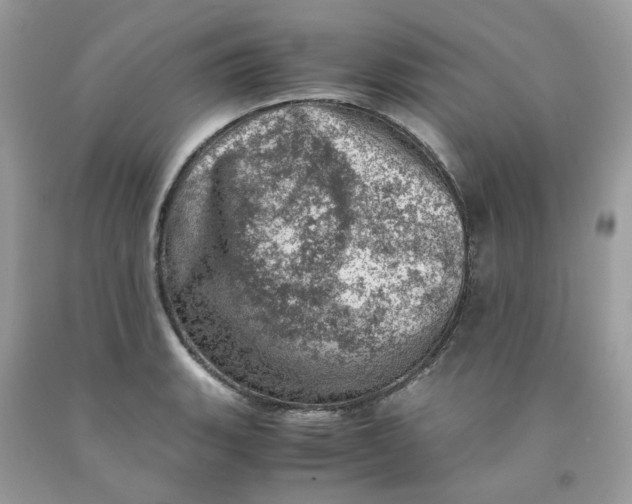 X0000091451135200709061729