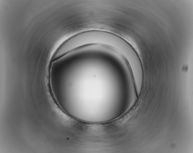 X0000091451136200709061729