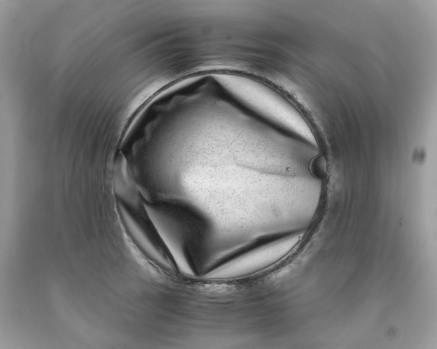 X0000091451137200709061729