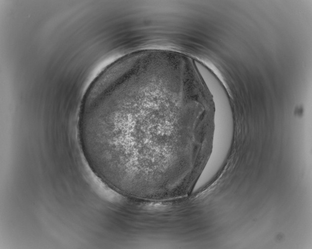 X0000091451139200709061729