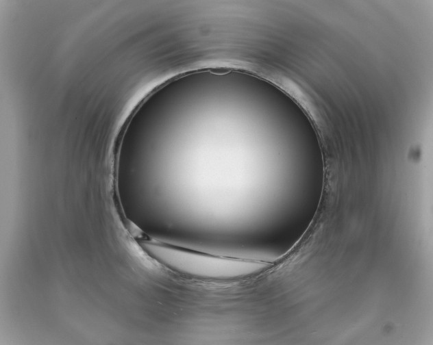 X0000091451140200709061729