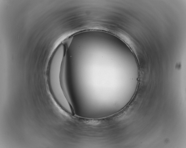 X0000091451141200709061729