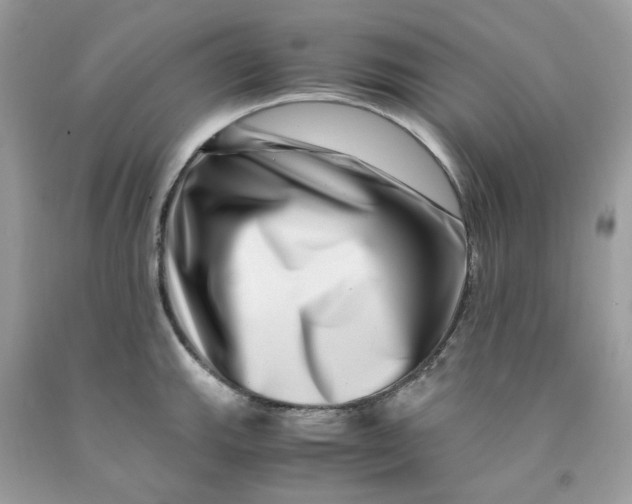 X0000091451143200709061729