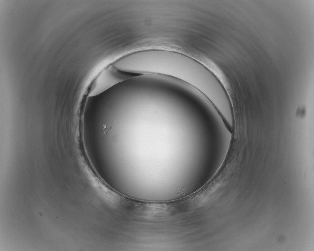 X0000091451144200709061729