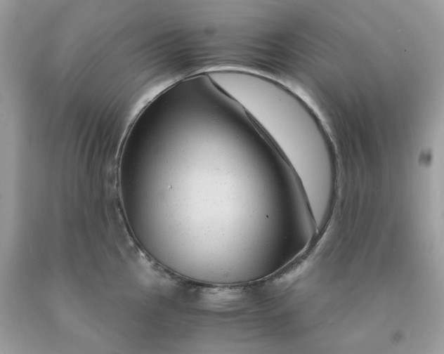 X0000091451145200709061729