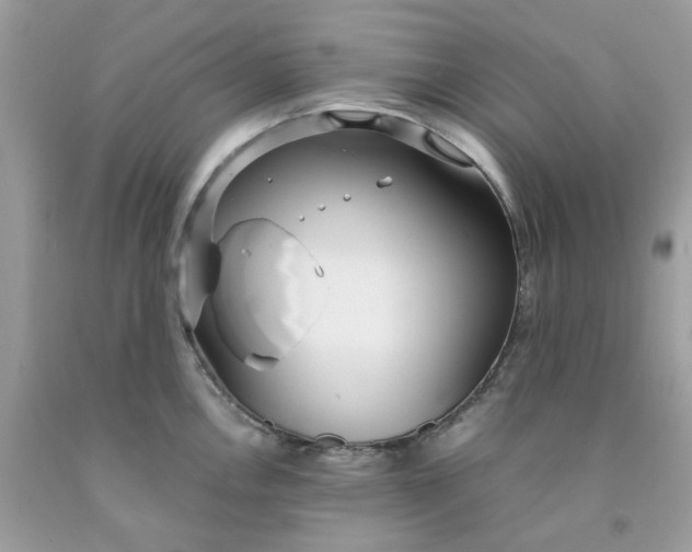 X0000091451146200709061729