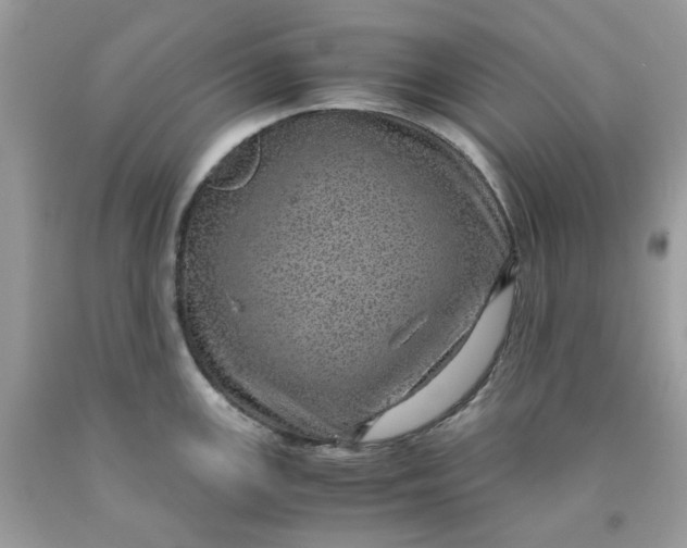 X0000091451147200709061729