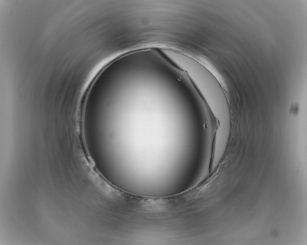 X0000091451148200709061729